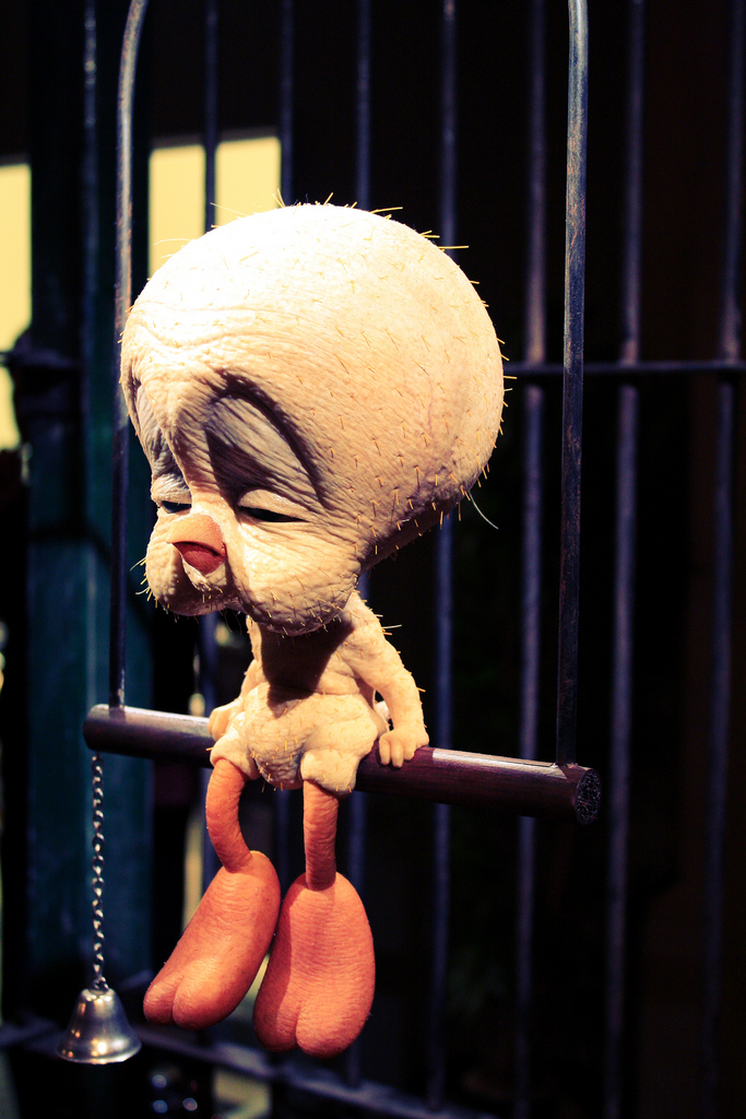 3750032714_31a7b8b62d_b